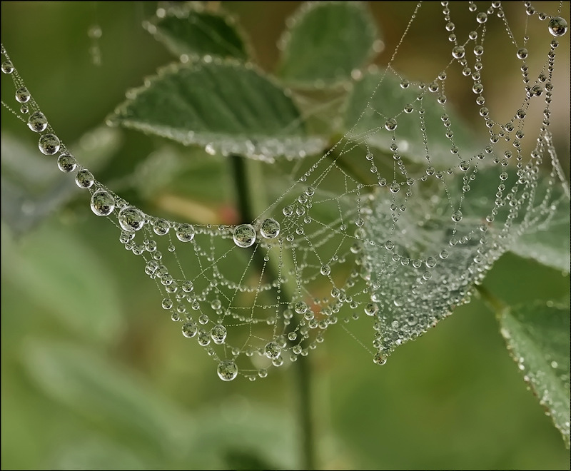 Auf vielen ein Wort ...