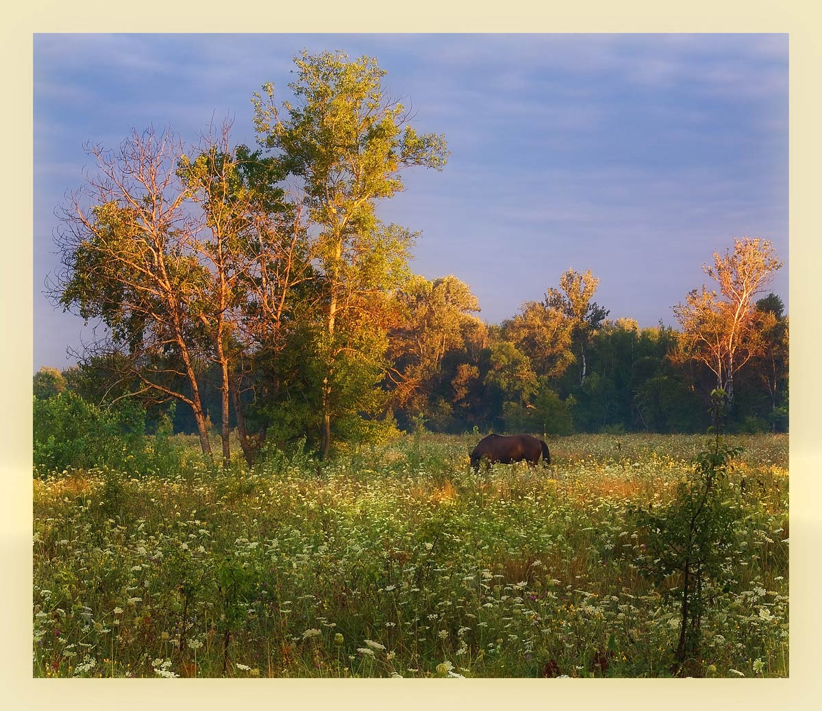 Morgen in Svyatogorie