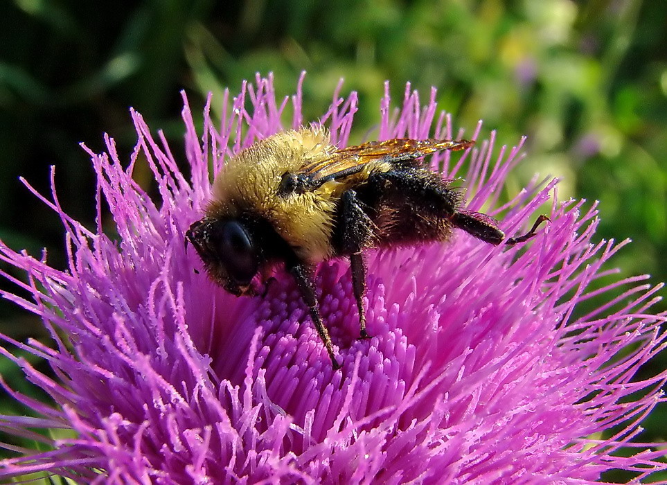 Get up, Earl! Sie erwarten große Dinge
