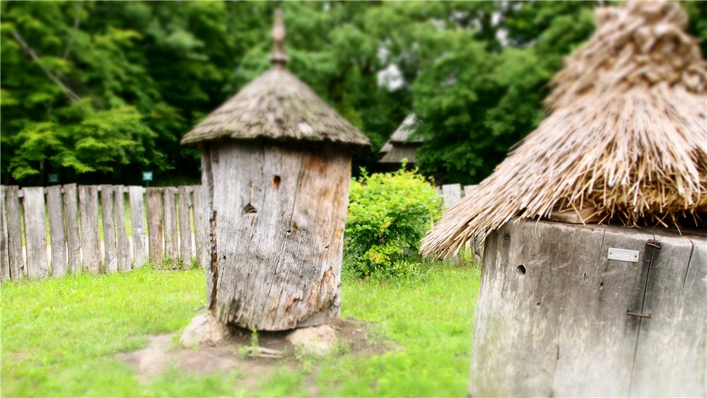 Hives unserer Vorfahren.