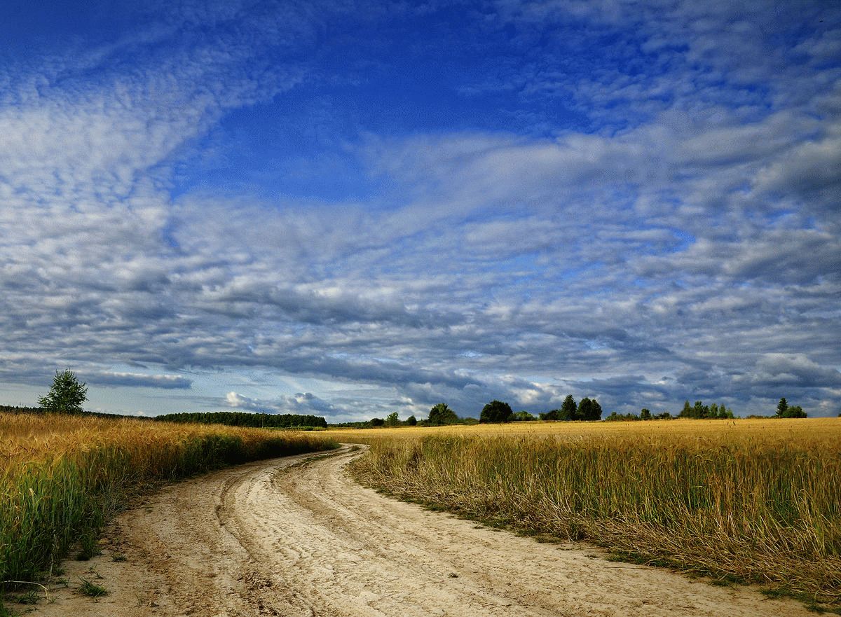 Oh, track, Feld .....