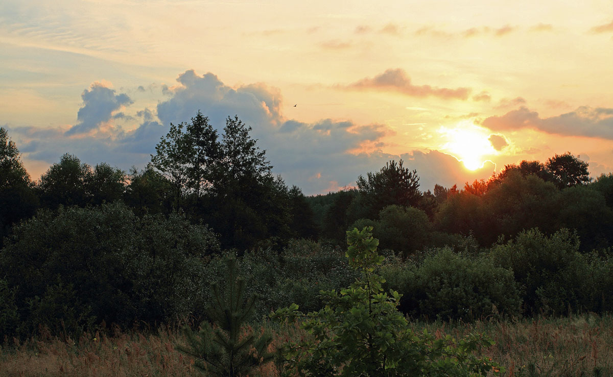 Malen Sie eines Morgens