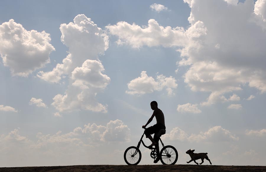 Walk your friends ...