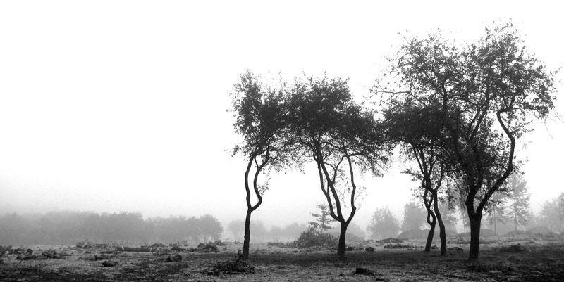 Landscape of visionary thoughts