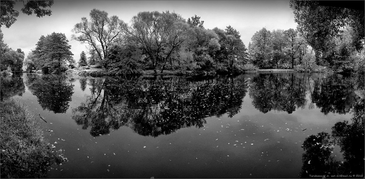 PRO SCHWARZ - WEISS HOME Bunte Herbst ...