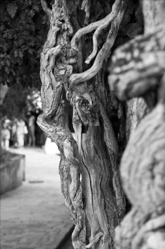 Das Schicksal der Bösewicht