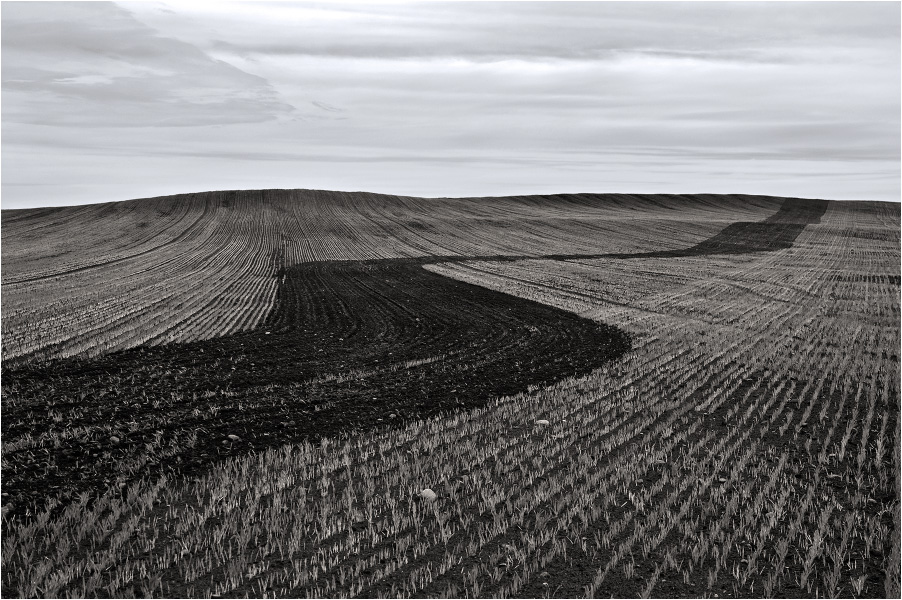 Über betrunken Traktorfahrer