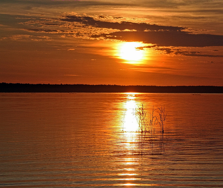 Nocturne. Melody Flight ...