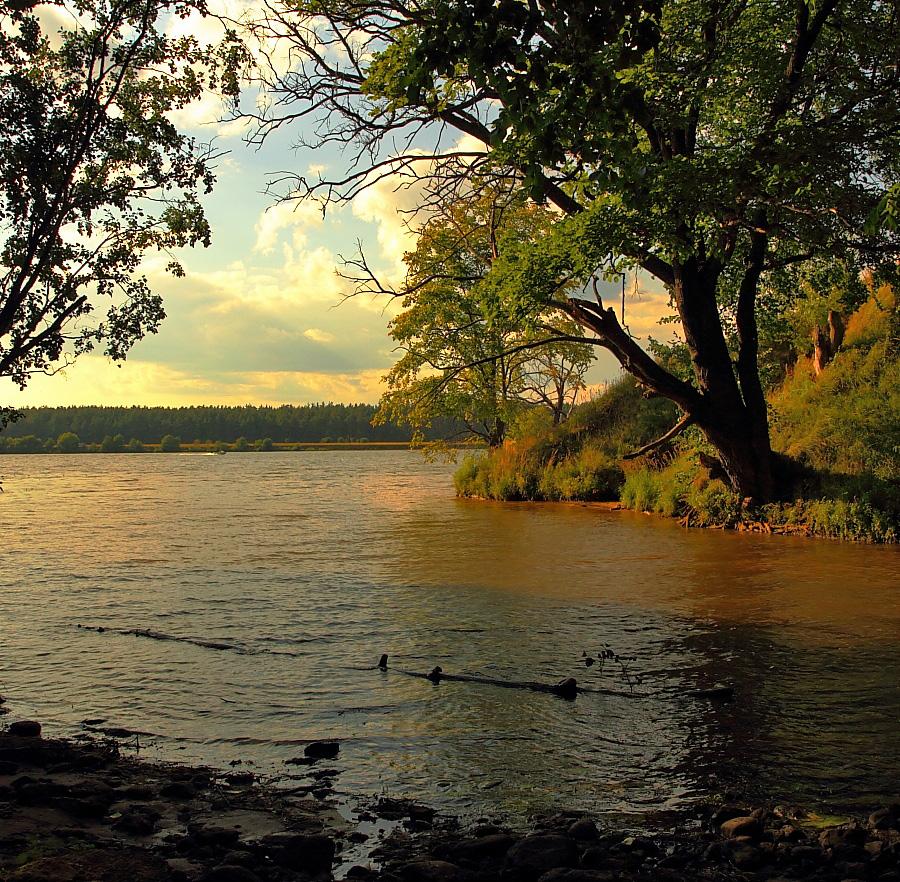 In die Ferne blickt ...