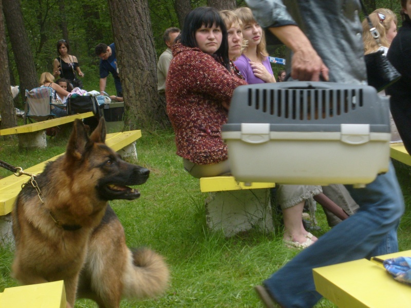 Oh, sie sind ... Eine hübsche)