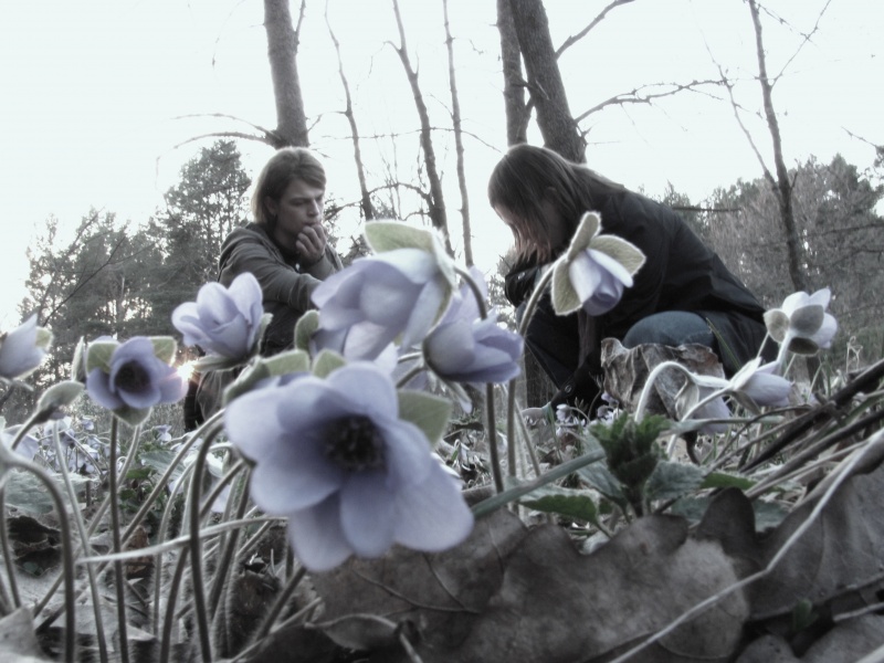 Über Liebe und Schneeglöckchen