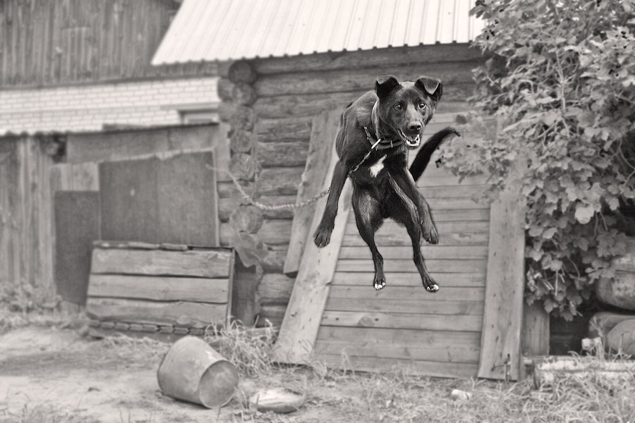 aber ich will fliegen, oder wie froh ich bin, dich zu sehen ...