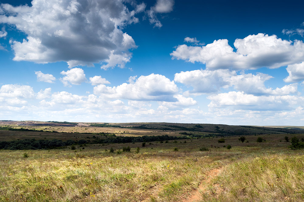 Donbas Steppe