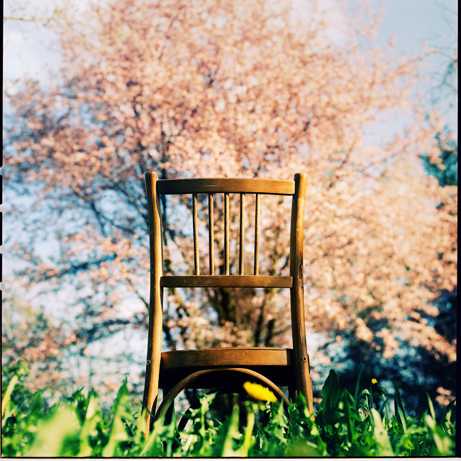 Lehrstuhl und Summen Tree!