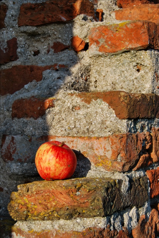 einen guten Geschmack der Antike
