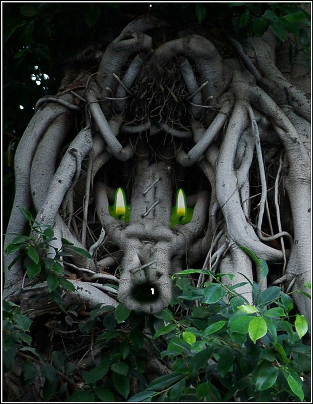 KOMMEN grau Volchek ....