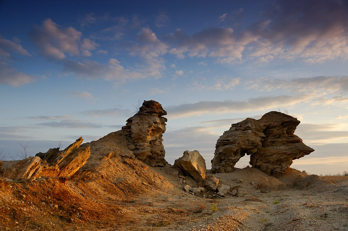 Kreaturen, die auf dem Mars leben