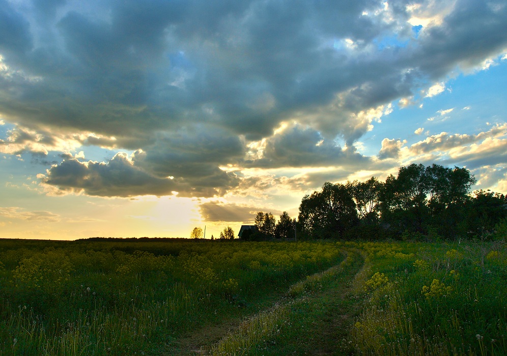 Little House am Stadtrand von ...