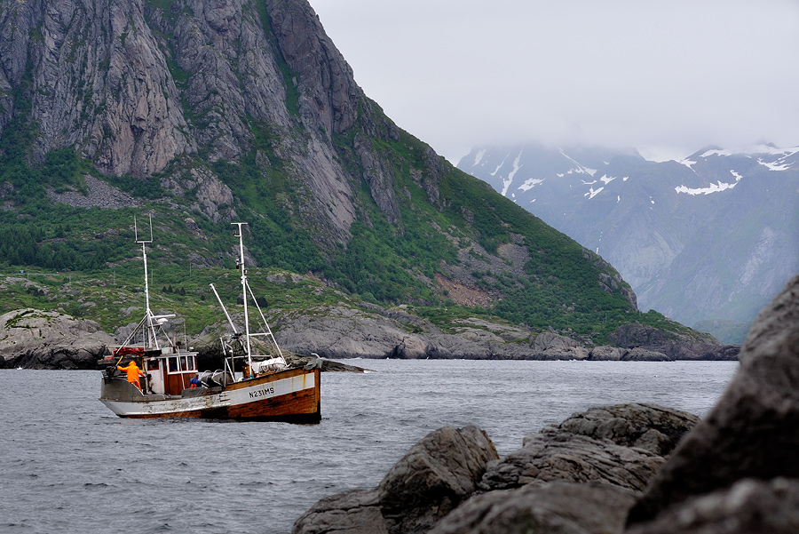 Wer Exoten, und an wen und Arbeit!