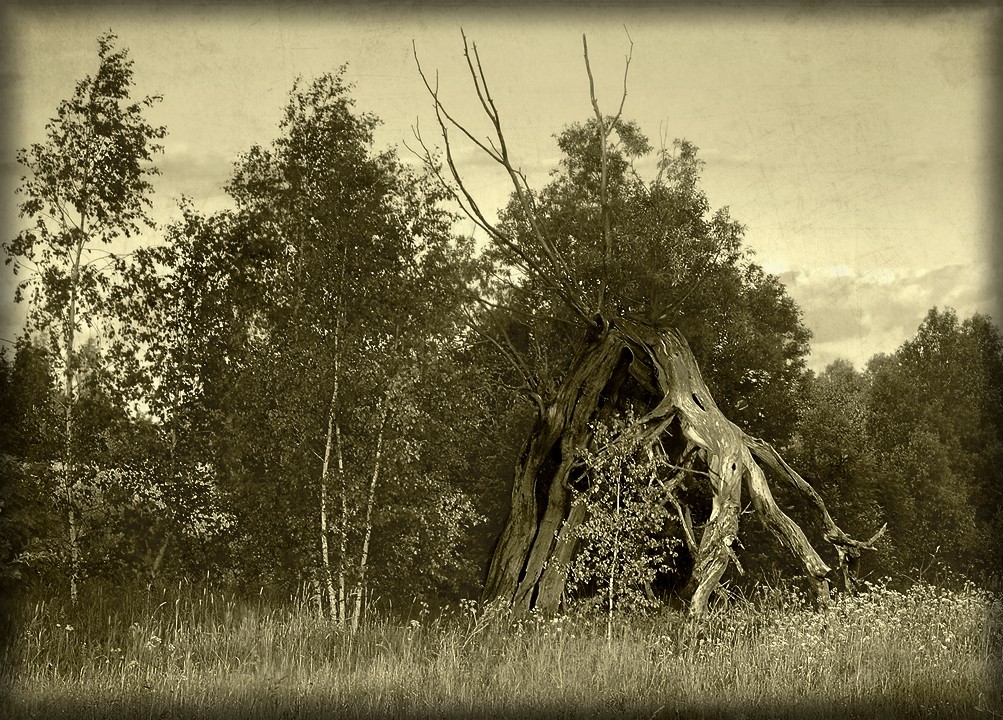 Ich erinnere mich ...