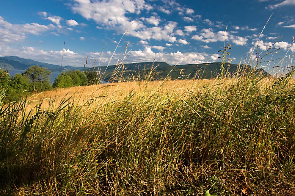 Schauen Sie auf der Donau