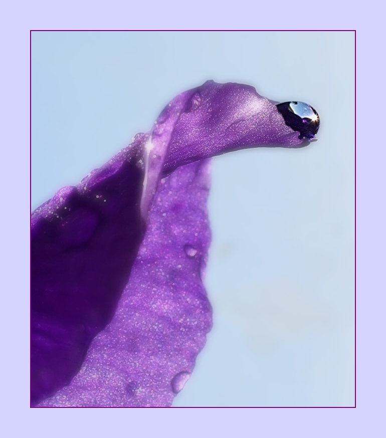 Ich gebe dir einen Stern ...