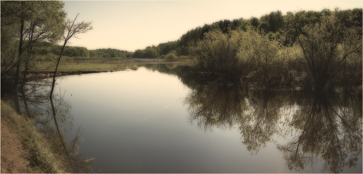 One spring day...(2)