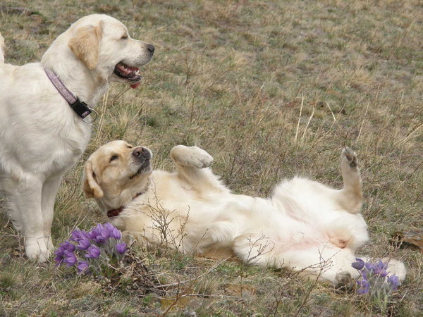 Manchmal kommt es auf die Kindheit