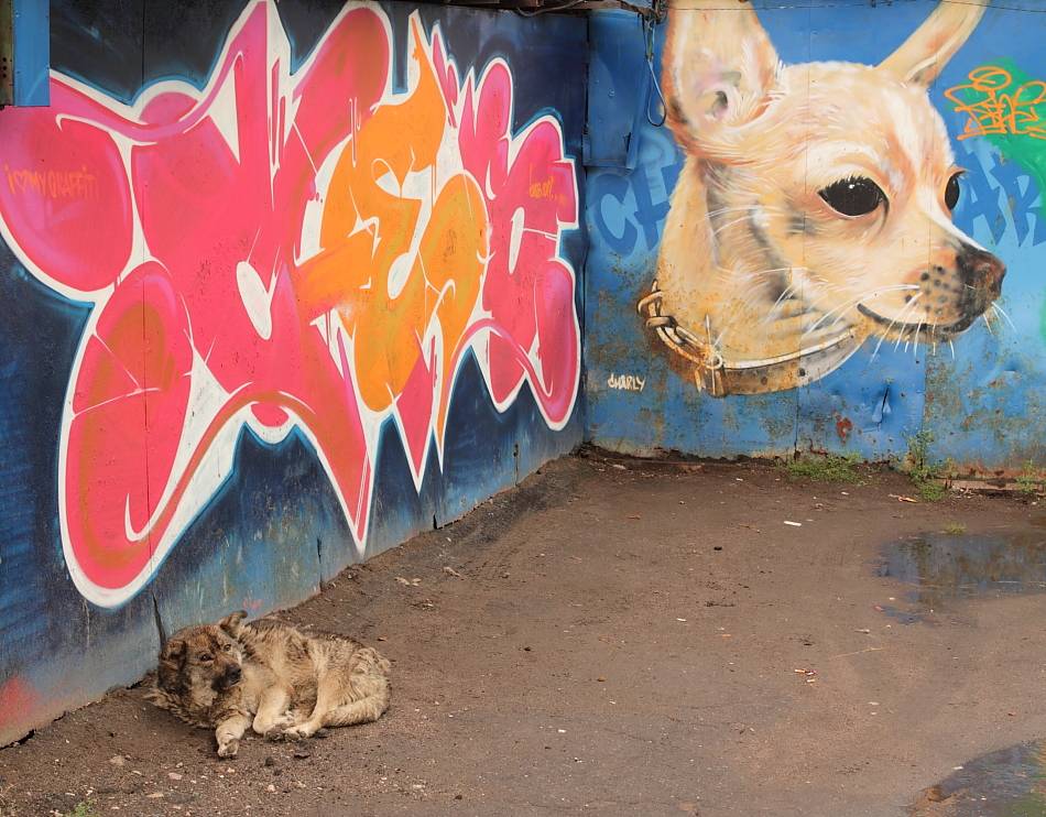 Charlie - Prinz und der Bettelknabe