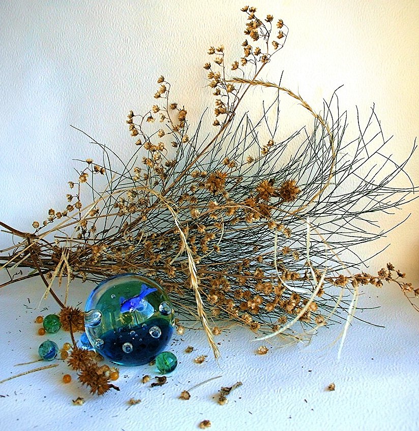 Stilleben mit einem Bündel von trockenen