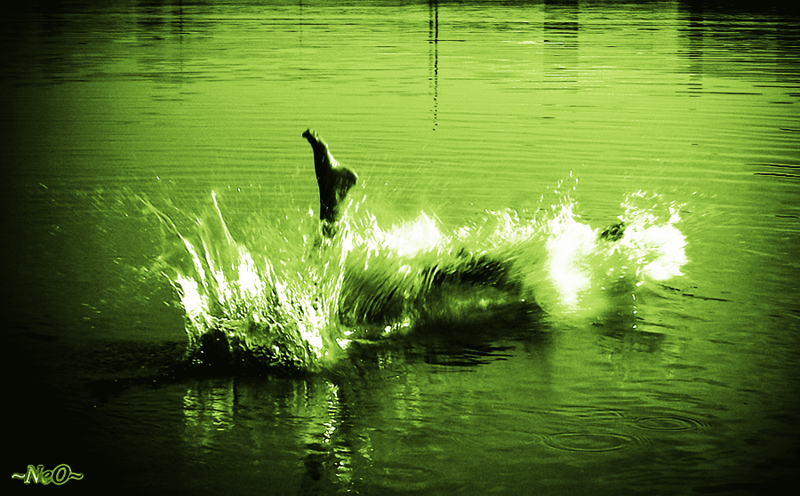 Ein Fuß im Wasser (Fuß im Wasser)