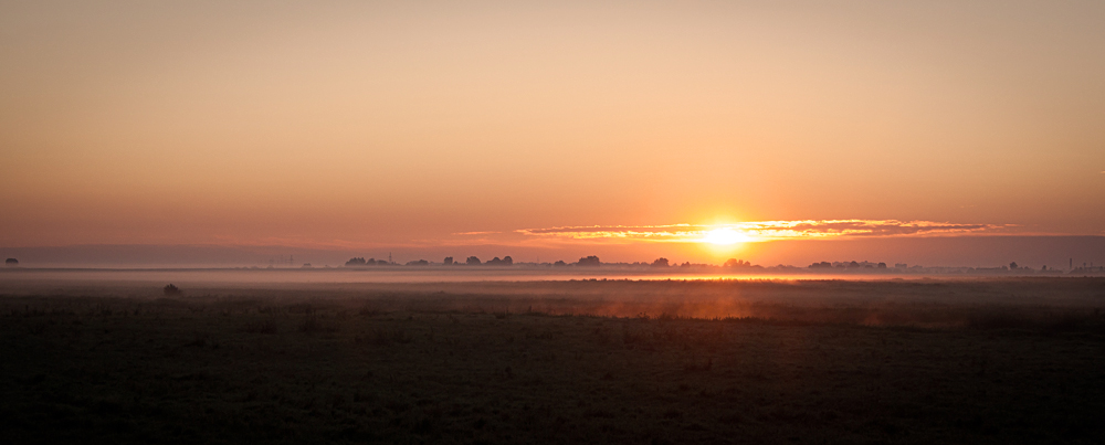 In der nebelverhangenen Feldern