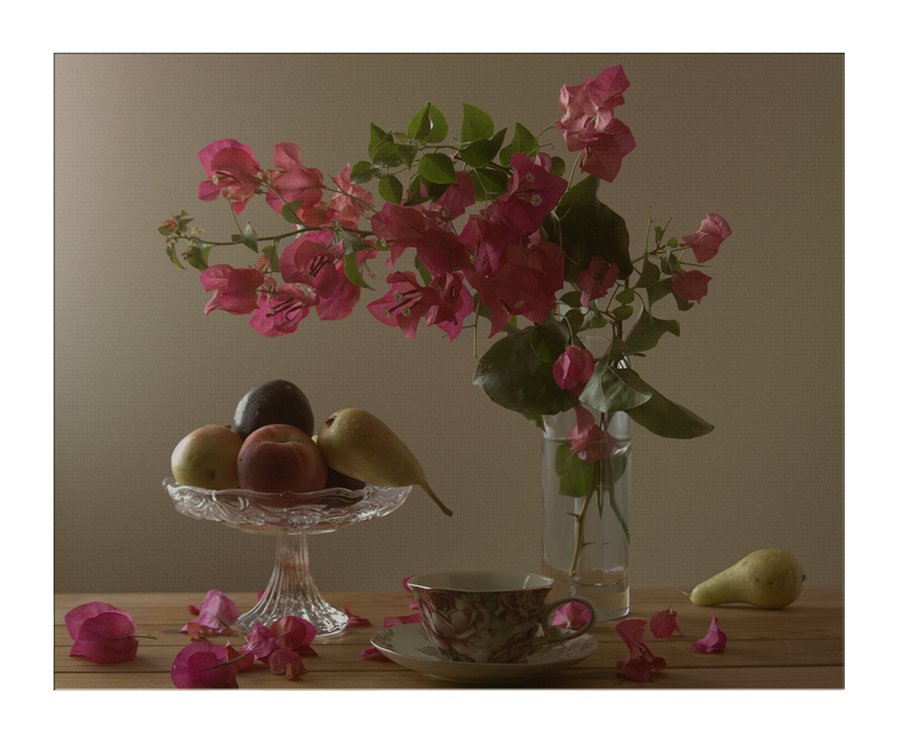 Flowers Bougainvillea ...
