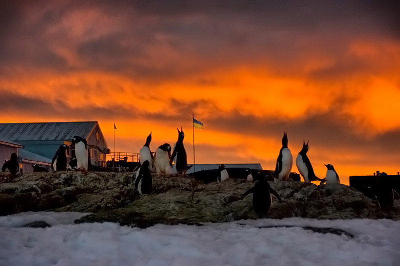 Abendveranstaltungen