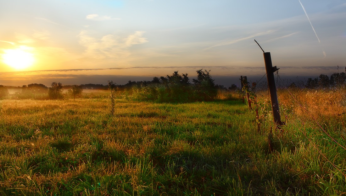 vage Skizze von August ... 2