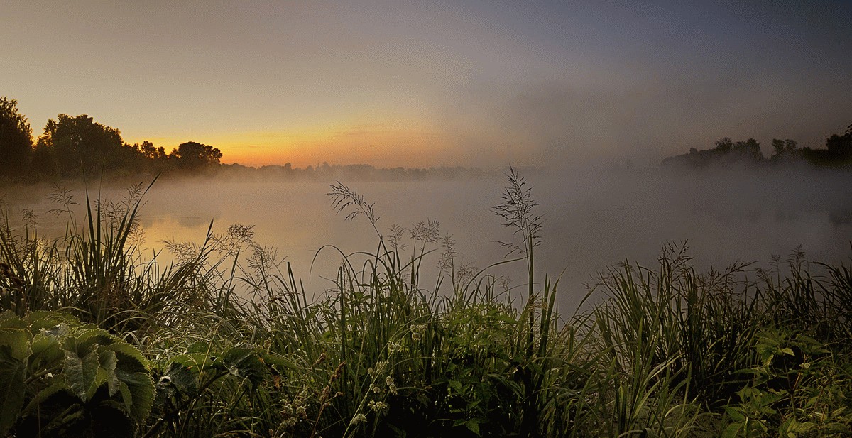 in der Erwartung steigender