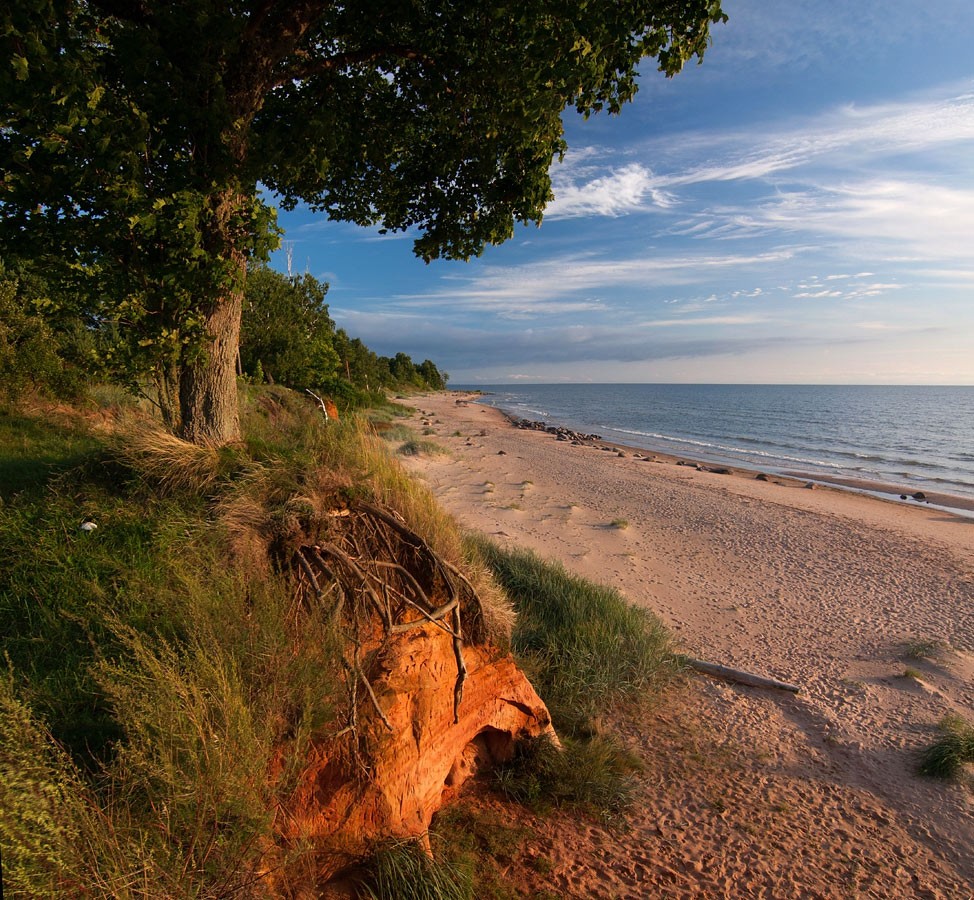 Eyesight an der Wurzel