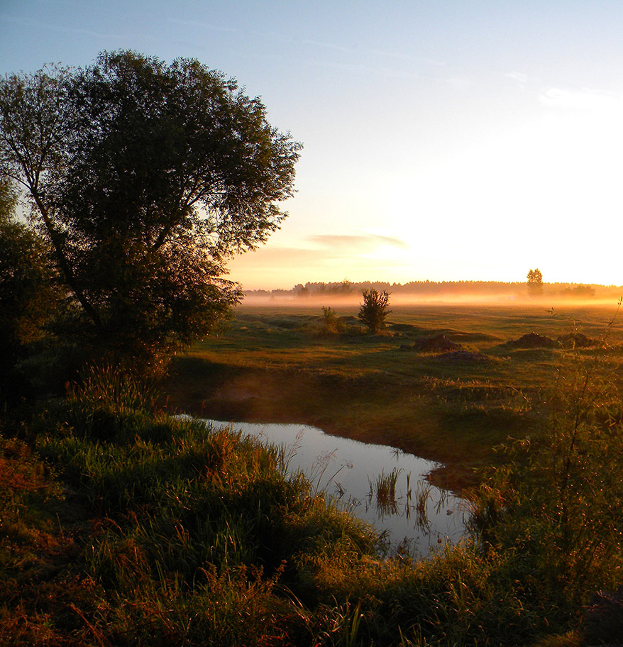 In der Morgendämmerung im August