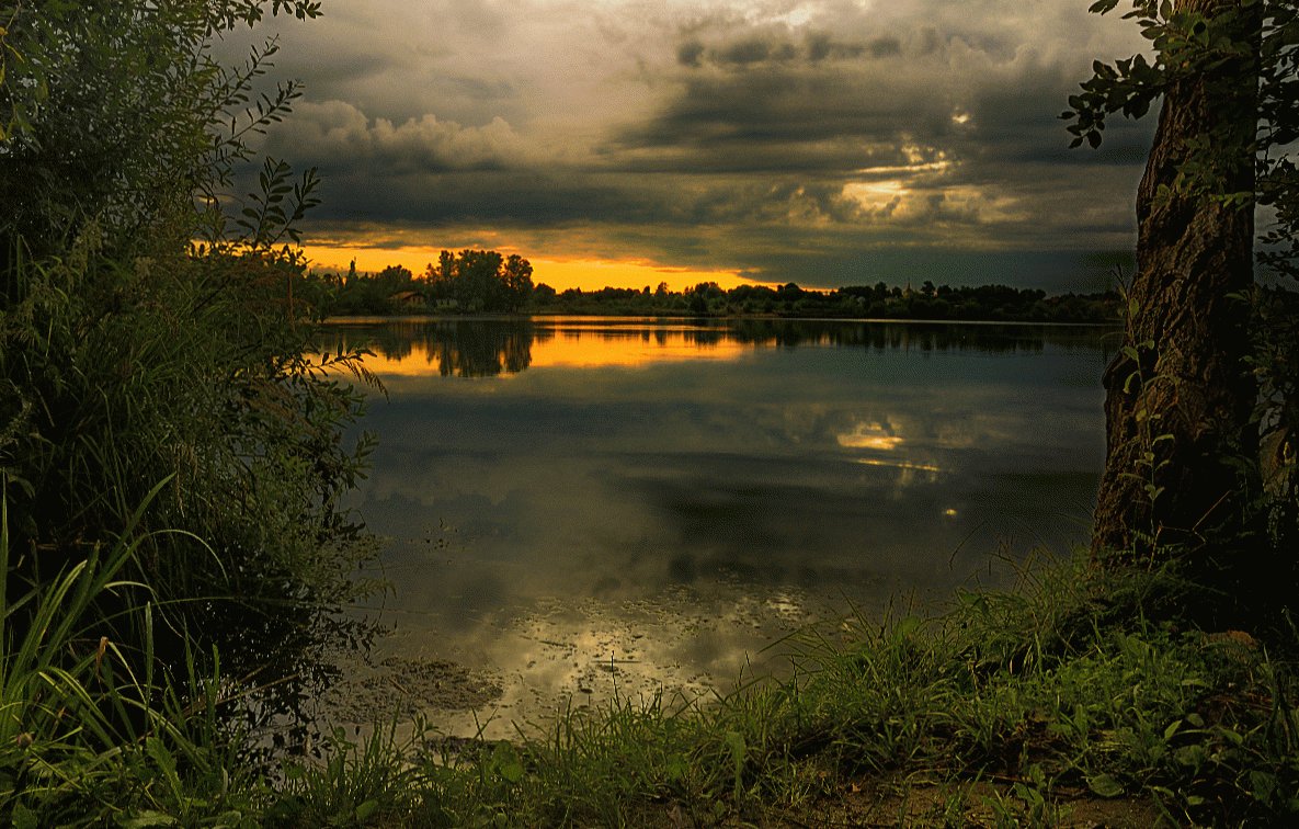 Morgen in der Rückstauebene