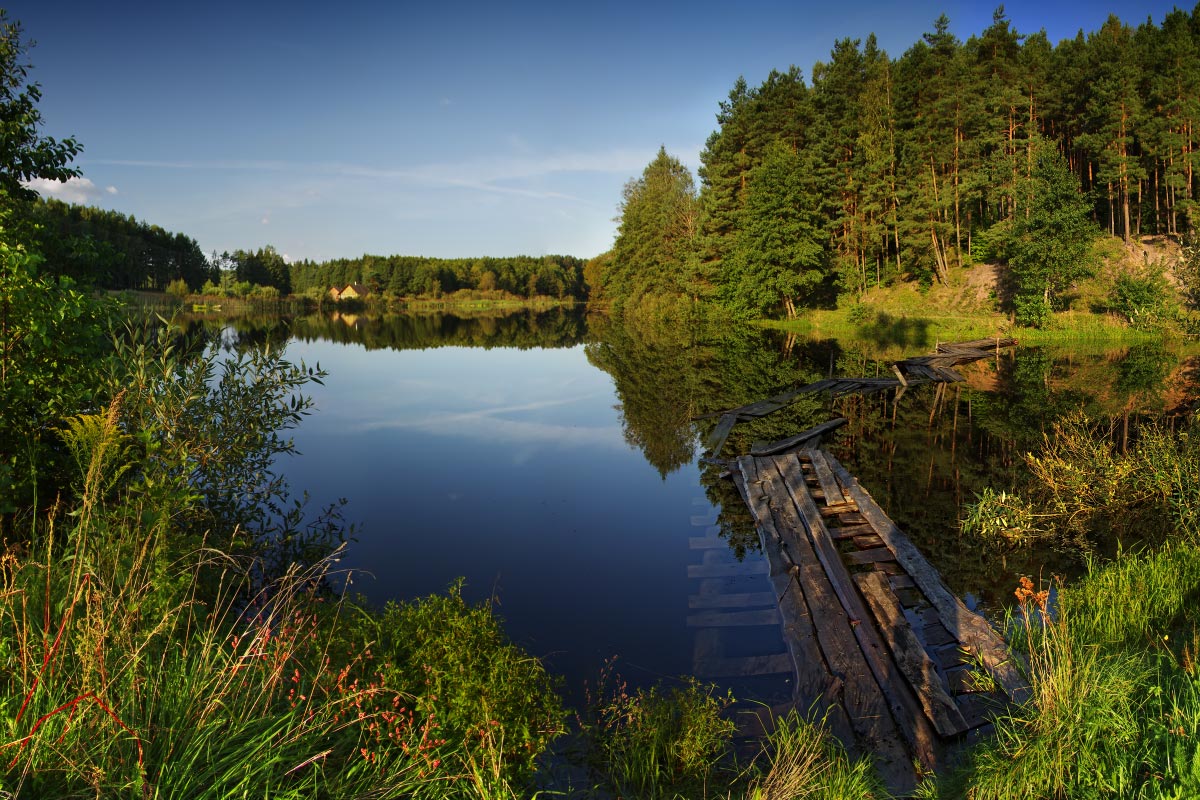 Stand es kann nicht überleben?