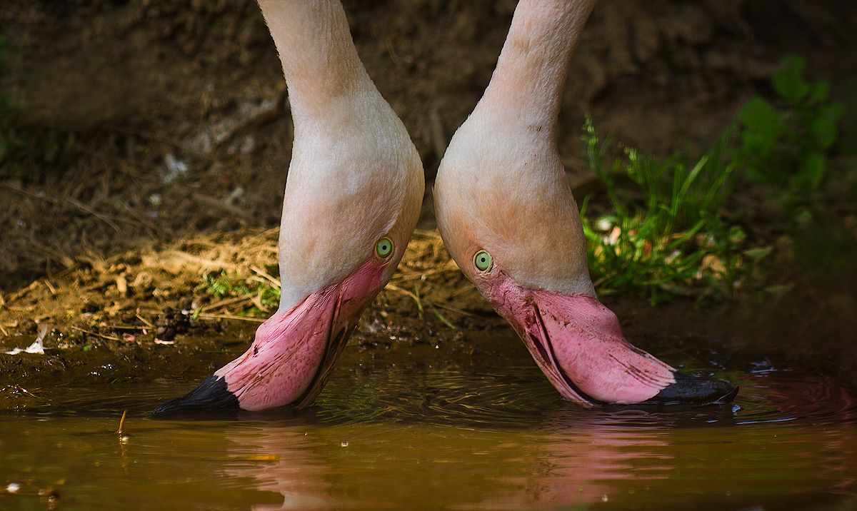 "Frühstück für Zwei"