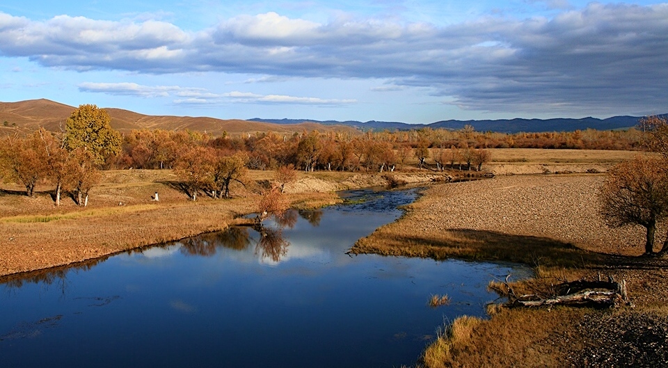 Fall ryzheyu fox ... 2