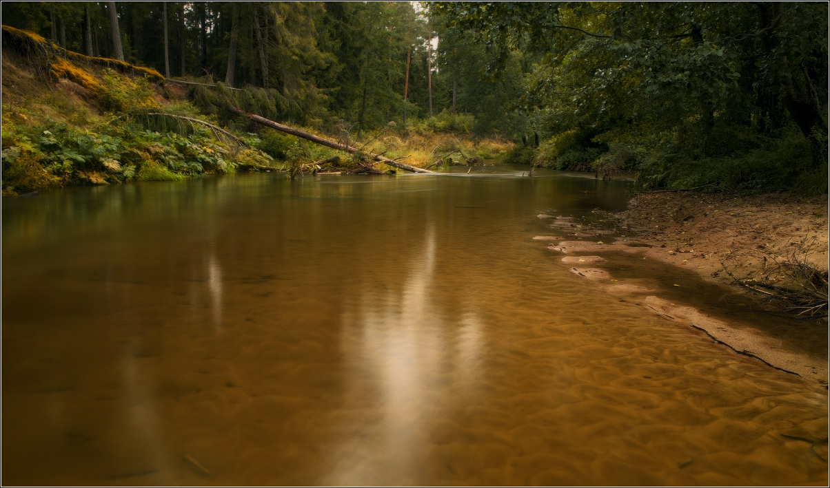 / Der Zustand der Stille /