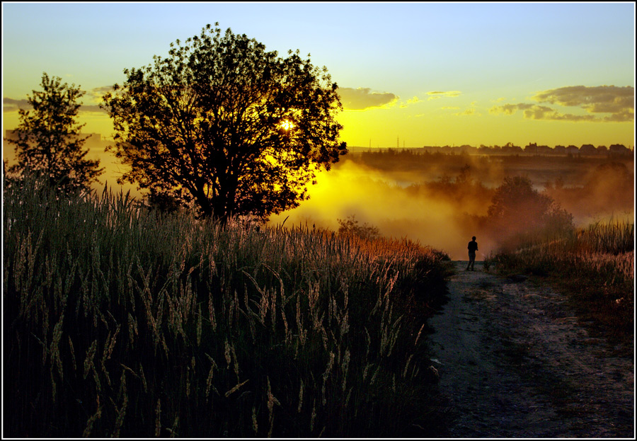 Im vergangenen Sommer