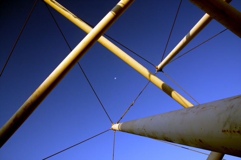 Z Memorial Independence