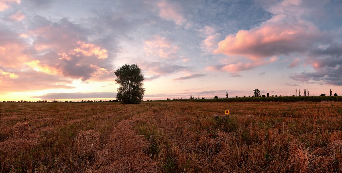 Abnehmender Sonnenuntergang im August