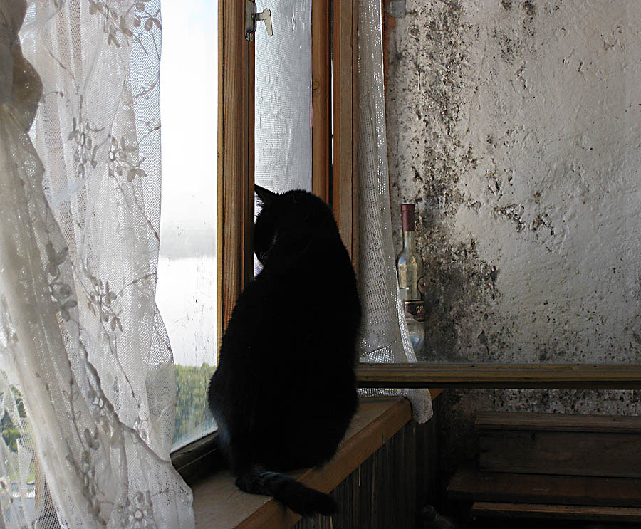 Sonia auf dem Balkon