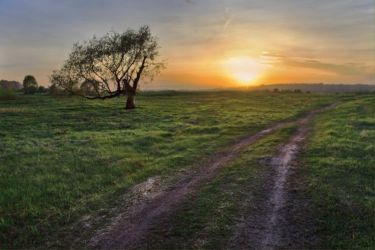 In gewisser Weise ...