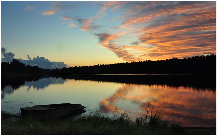 Roshinsky Schönheit!
