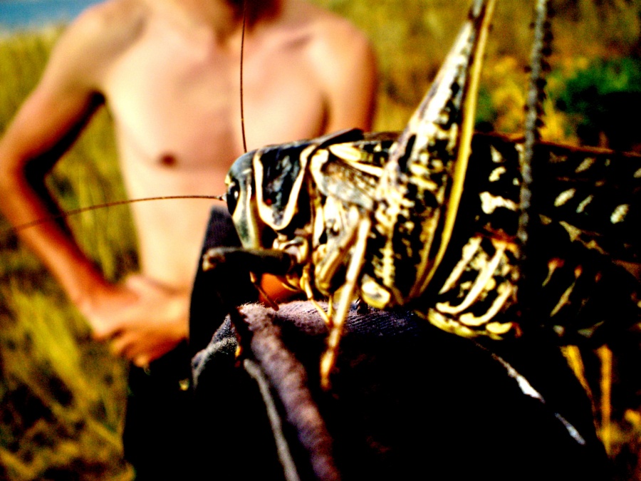 "Die Unmöglichkeit des Dialogs"